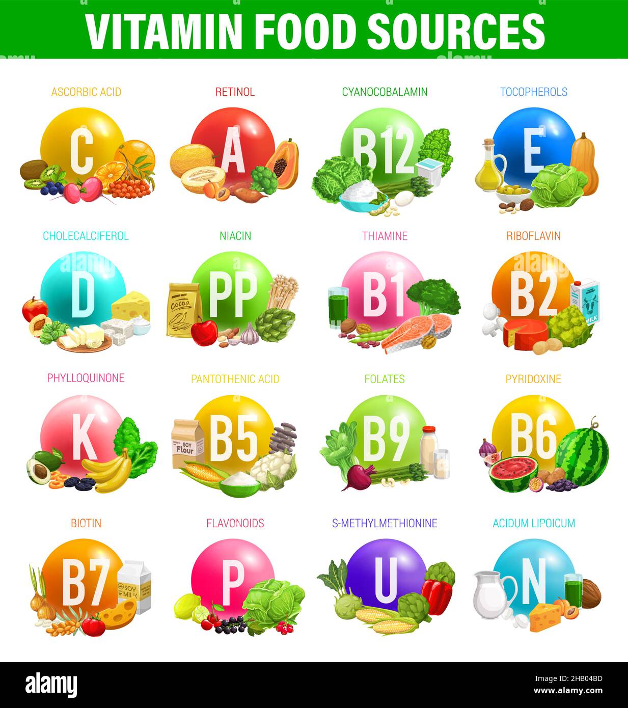 Vitamins and minerals food sources in nutrition vector infographics