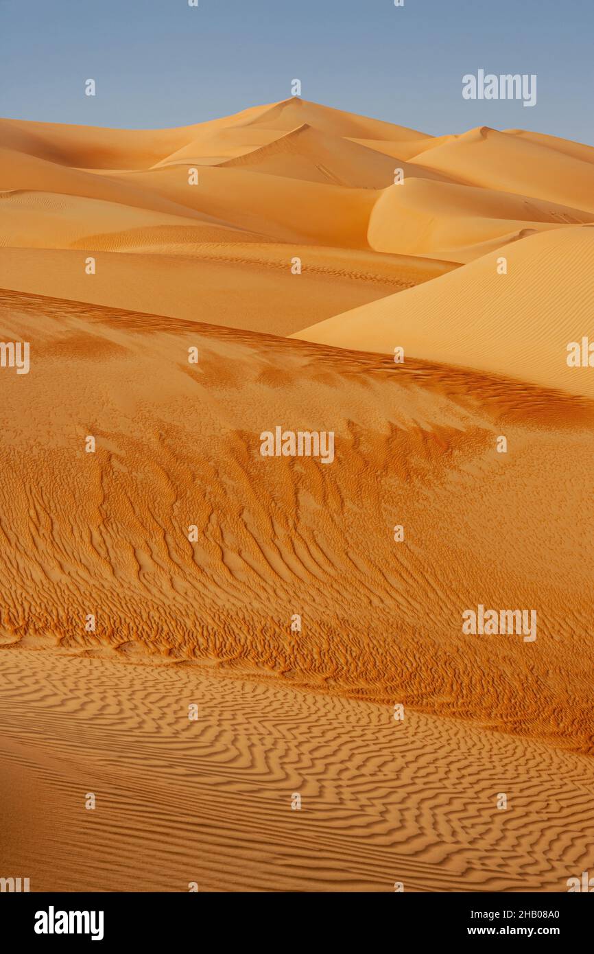 A dune landscape in the Rub al Khali or Empty Quarter. Straddling Oman, Saudi Arabia, the UAE
