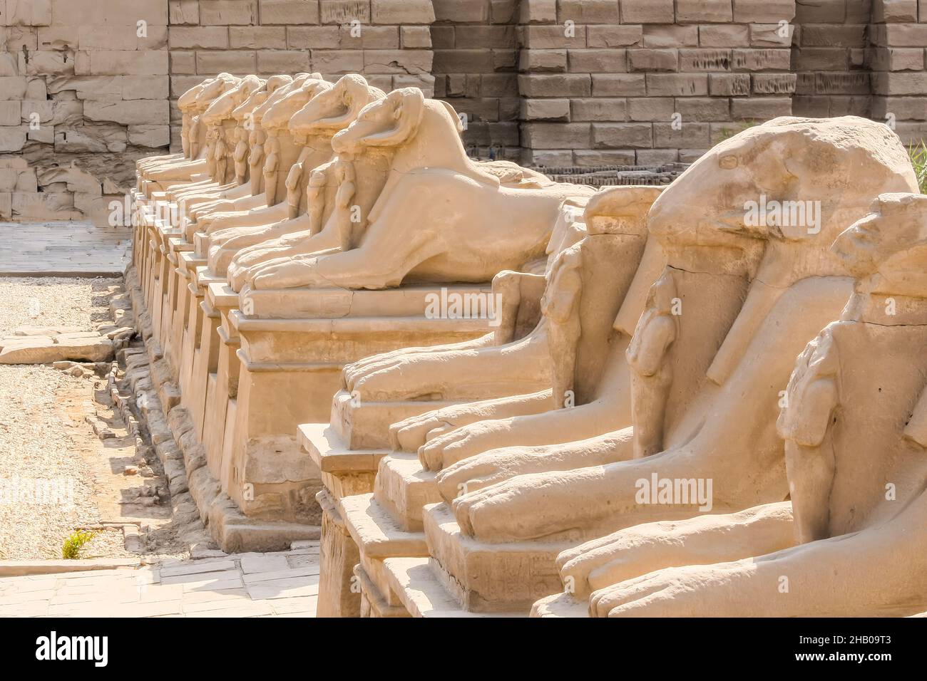 Karnak temple complex in Luxor, Egypt. Criosphinxes alley, sphinxes with the ram heads. Stock Photo