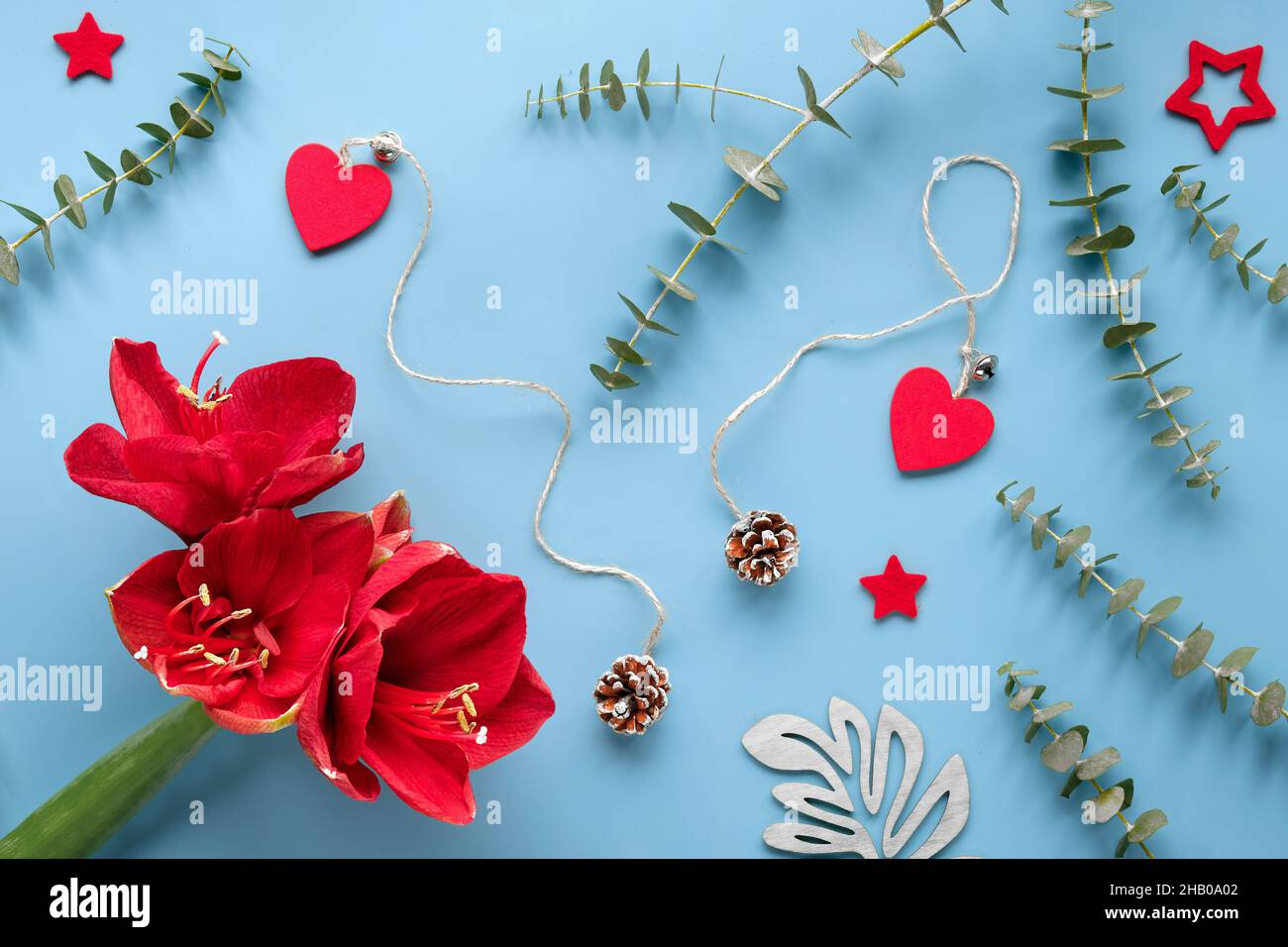 Red amaryllis flowers on blue mint background with eucalyptus, wood hearts, pine cones and exotic fern leaves. Stock Photo