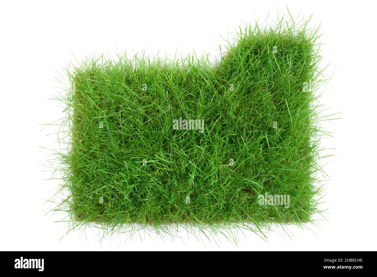 Grass Folder - Green Concept isolated on white Background Stock Photo