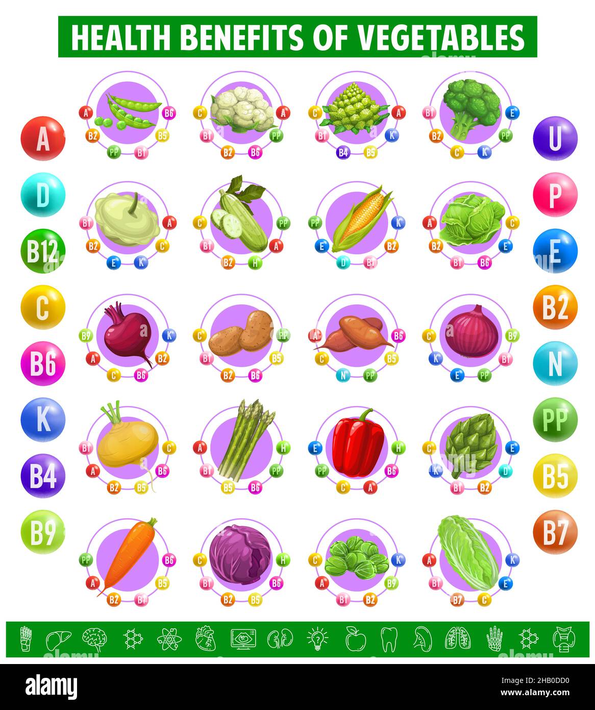 Chart table content of vitamins and minerals in vegetables. Green peas