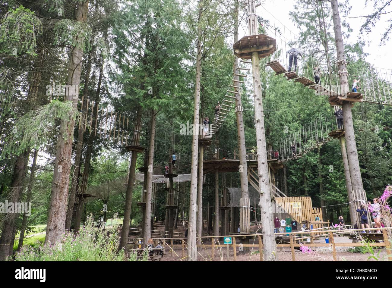 Go Ape,next,to,Sculpture Trail,Forest of Dean,Sandwiched between the ...