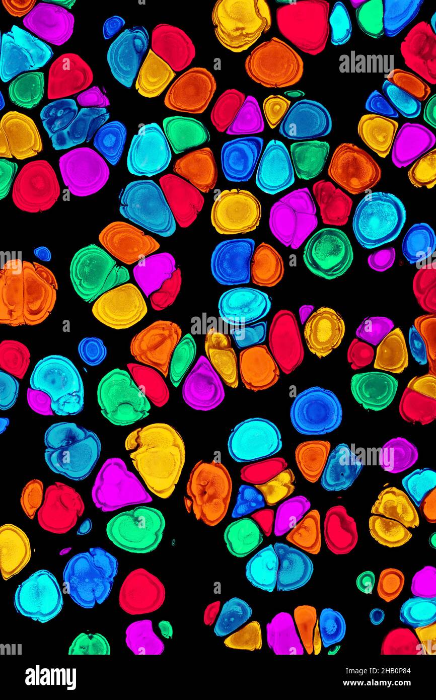 Colorful abstract acrylic painting cells 2. Free flowing cells. Pouring. Stock Photo