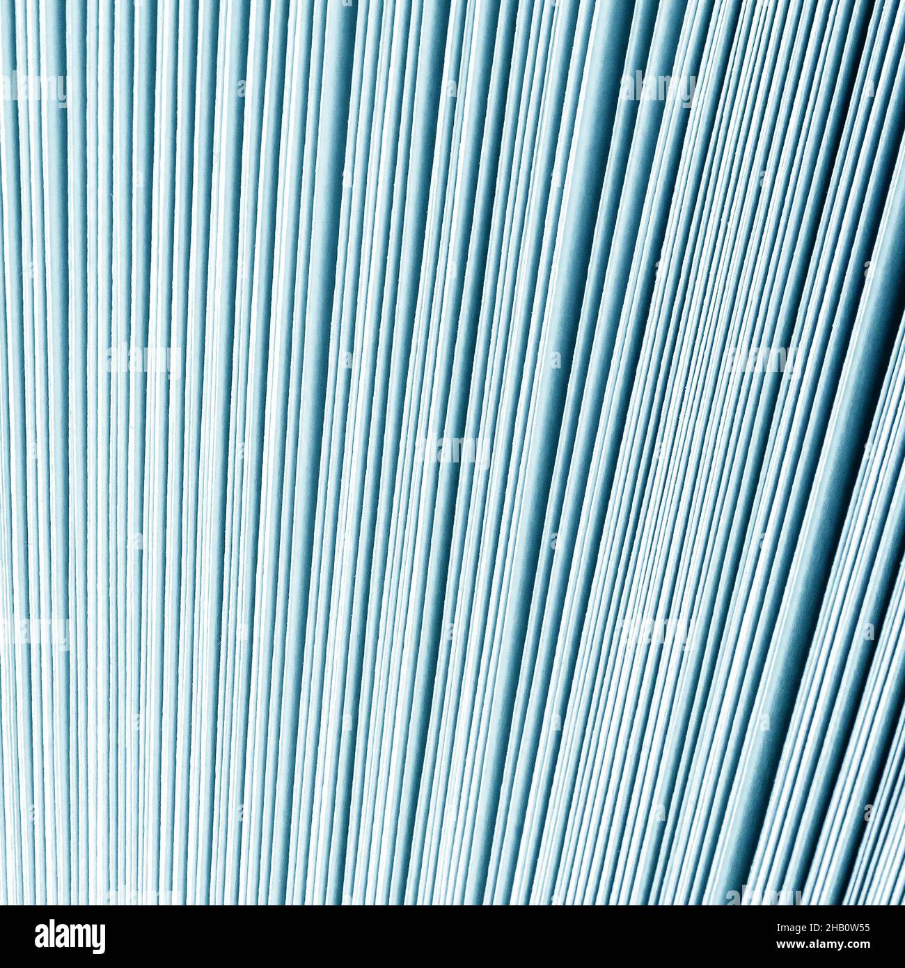 Blurred. Macro view of book pages. Toned. open book. Close-up Stock Photo