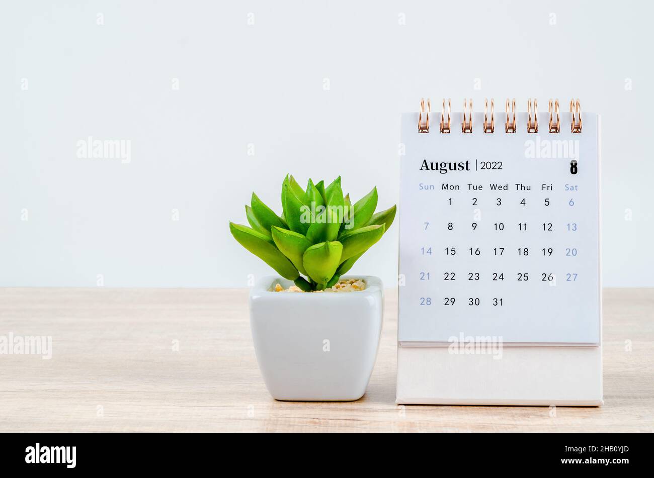 Free August 2022 Calendar Wallpapers  Desktop  Mobile