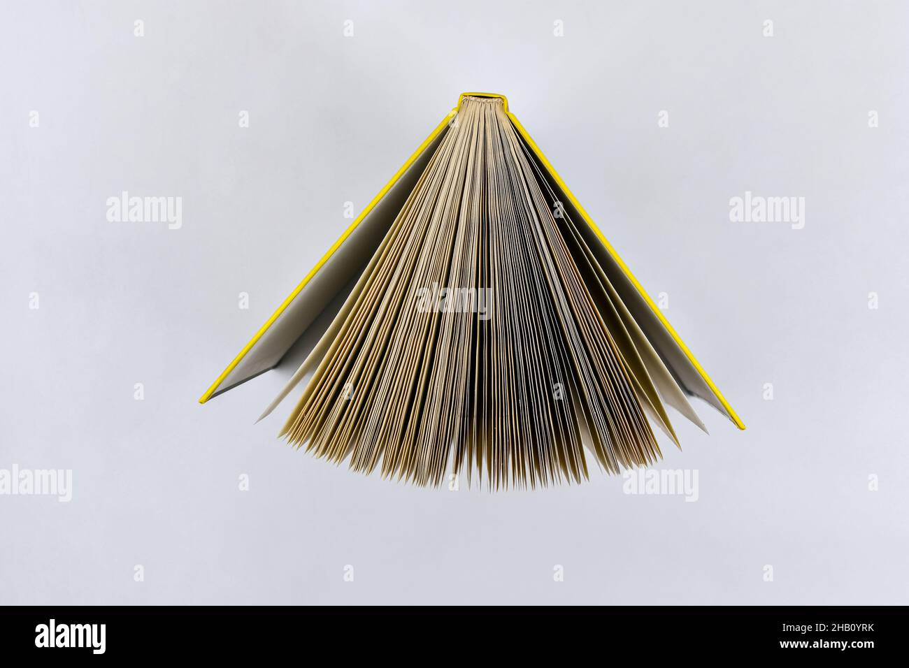 View on open book directly above on white background Stock Photo