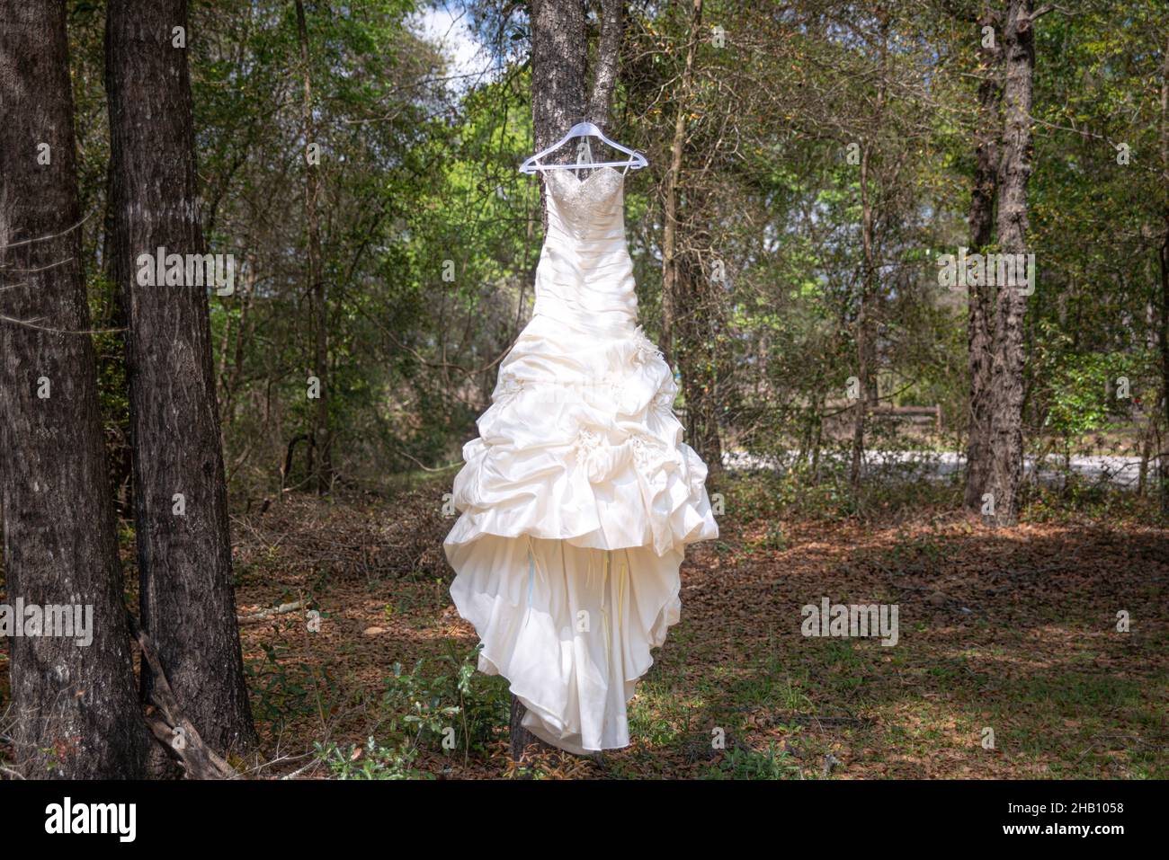 White wedding dress on hanger hanging from tree in the woods Stock ...