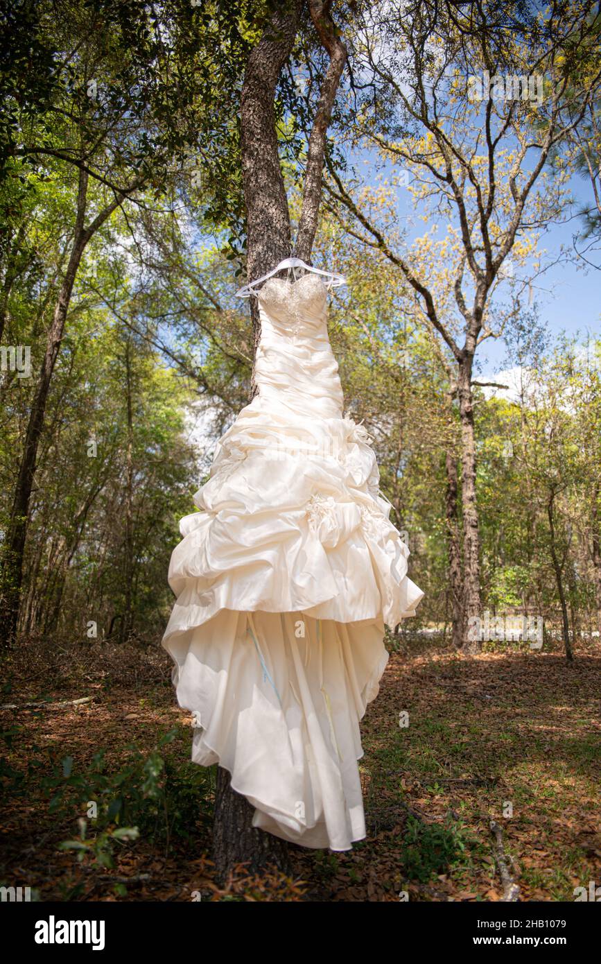 White wedding dress on hanger hanging from tree in the woods Stock ...