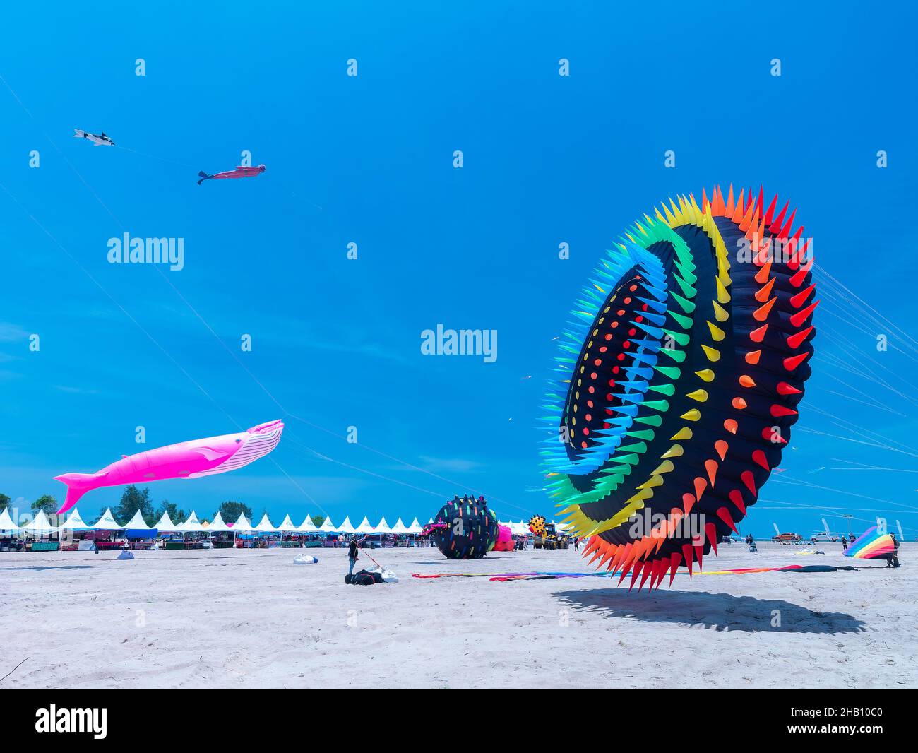 Bole kite and pink whale soft kite at Surat Thani Kite Festival 2021 in Surat Thani, Thailand. Stock Photo