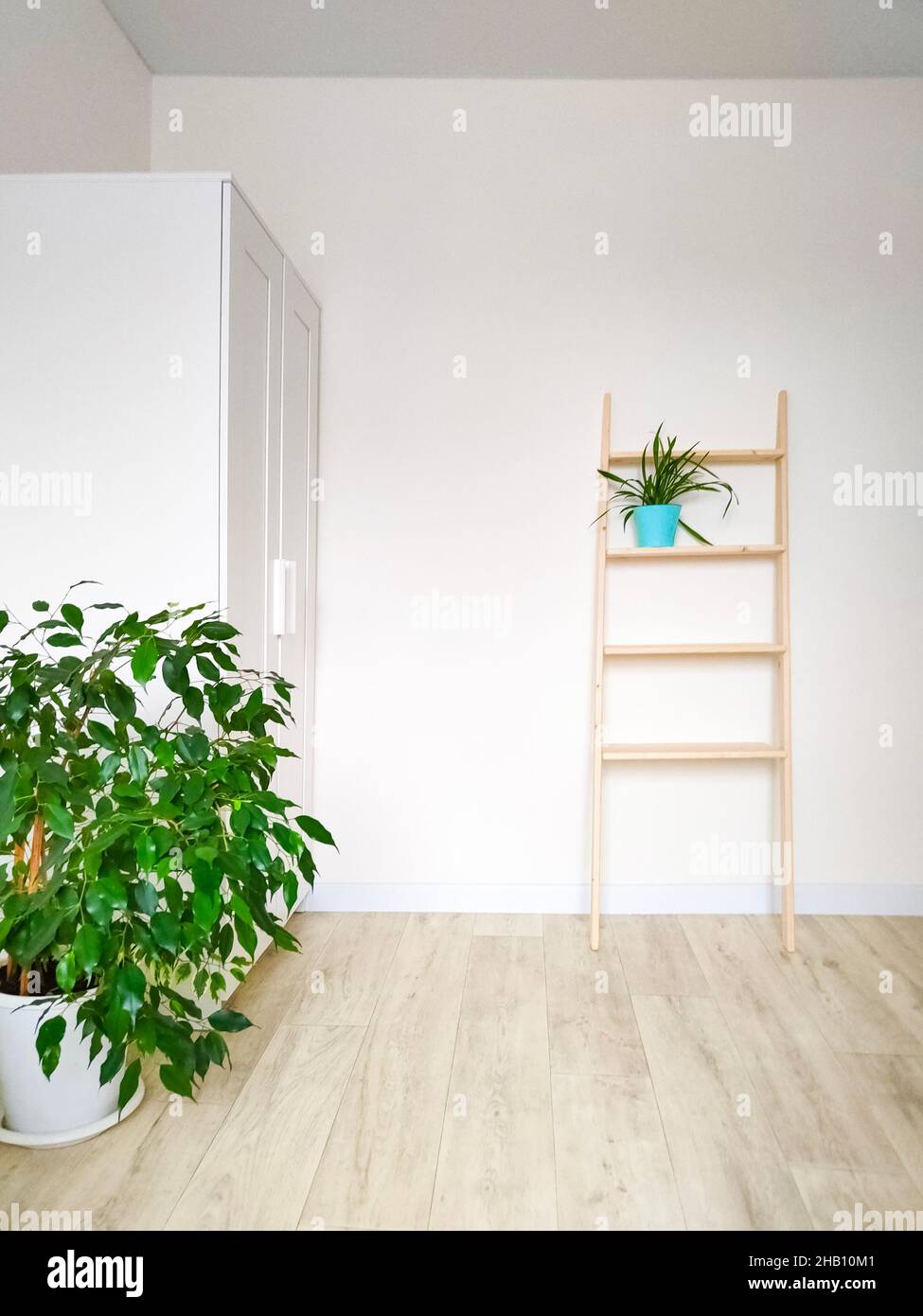 Light Room interior with green plants in scandinavian design. Stock Photo