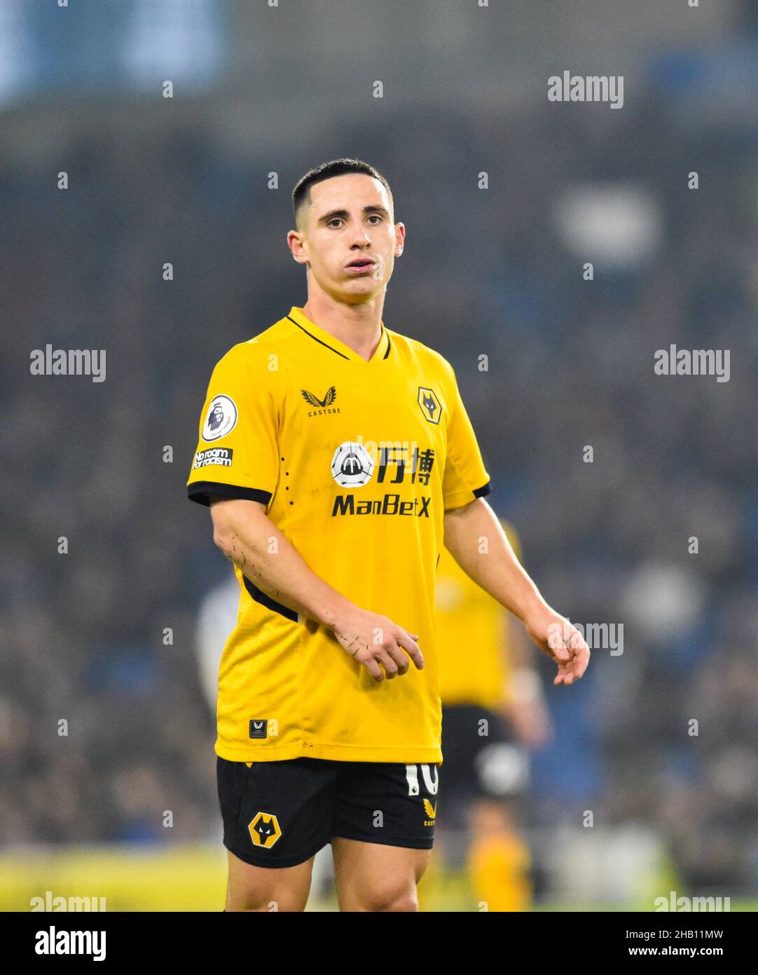 Daniel Podence of Wolves during the Premier League match between Brighton and Hove Albion and Wolverhampton Wanderers  at The American Express Community Stadium  , Brighton,  UK - 15th December 2021- Editorial use only. No merchandising. For Football images FA and Premier League restrictions apply inc. no internet/mobile usage without FAPL license - for details contact Football Dataco Stock Photo