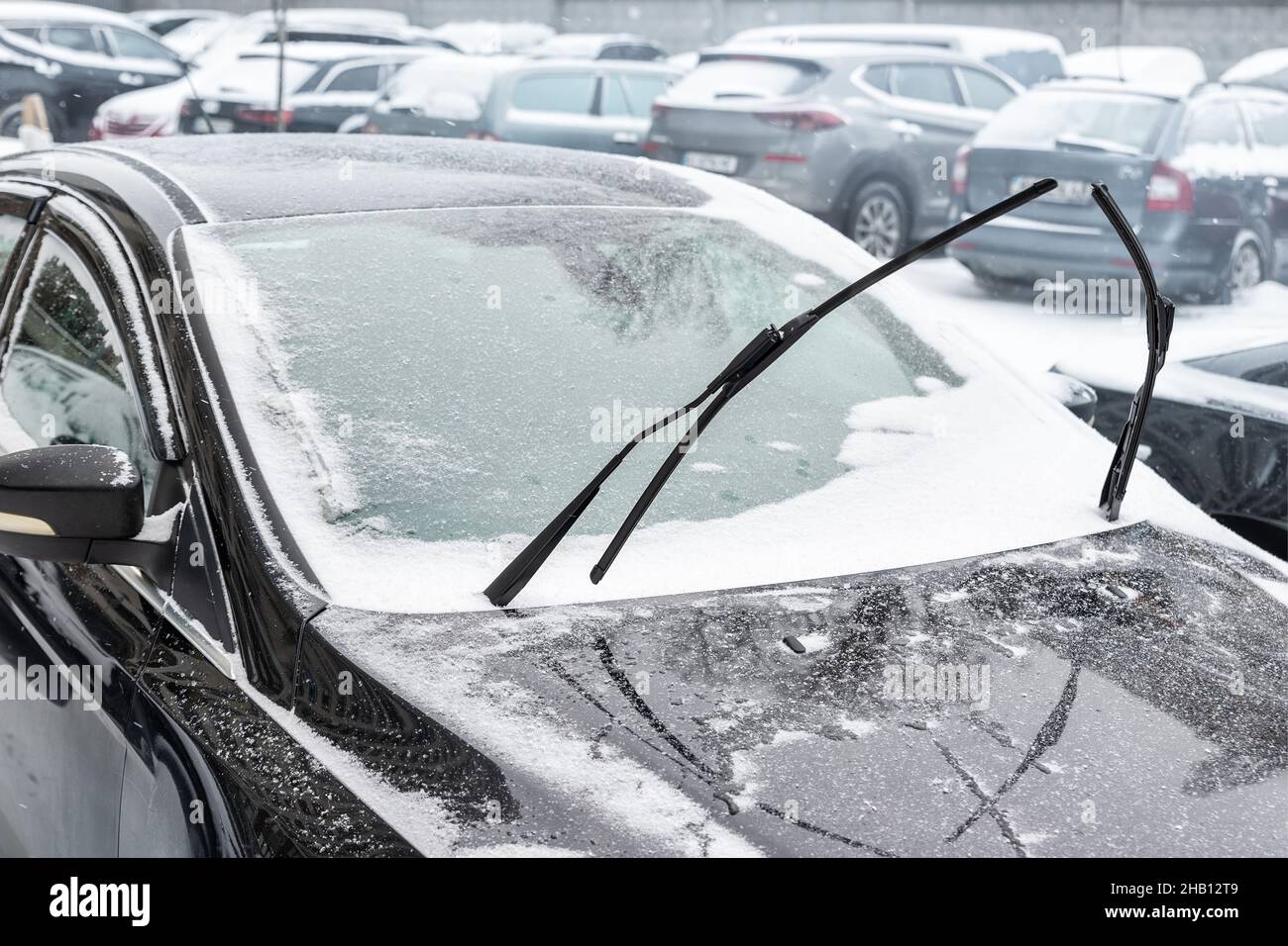 Prevent frost hires stock photography and images Alamy