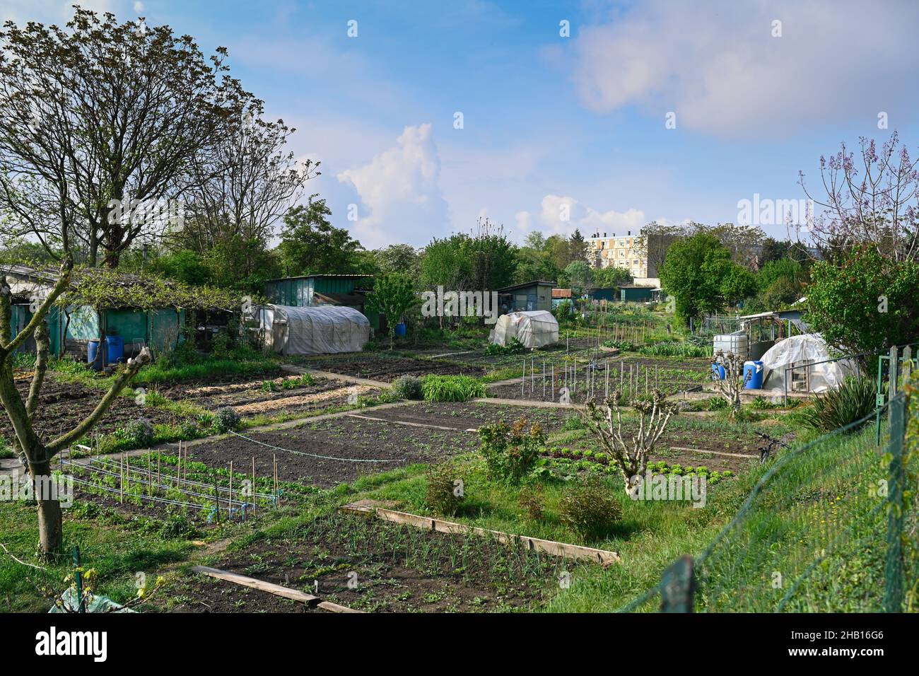 Villeurbanne (central-eastern France): community gardens, former Alstom allotments, bordering the district of Saint-Jean and the town of Vaulx-en-Veli Stock Photo