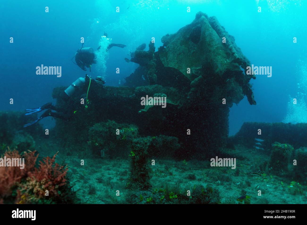 Wreck fish underwater hi-res stock photography and images - Alamy