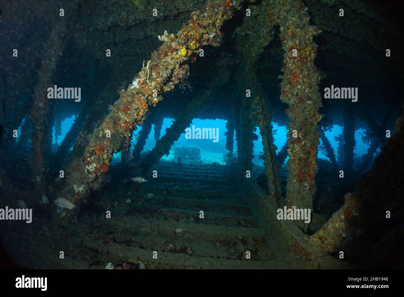 looking through the wreck Stock Photo - Alamy