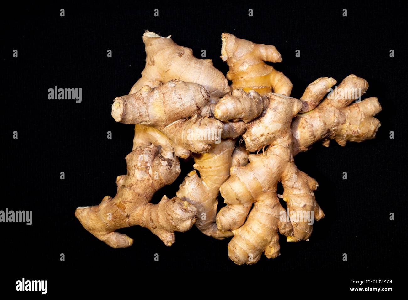 Ginger Roots on a dark background Stock Photo