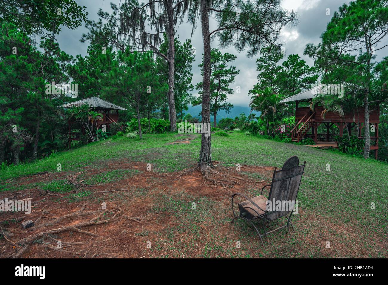 Mountains gazebo in national park with huge flora biodiversity. Recreation center in jungle, around tropical forest in mountains hill. Pines and palms Stock Photo