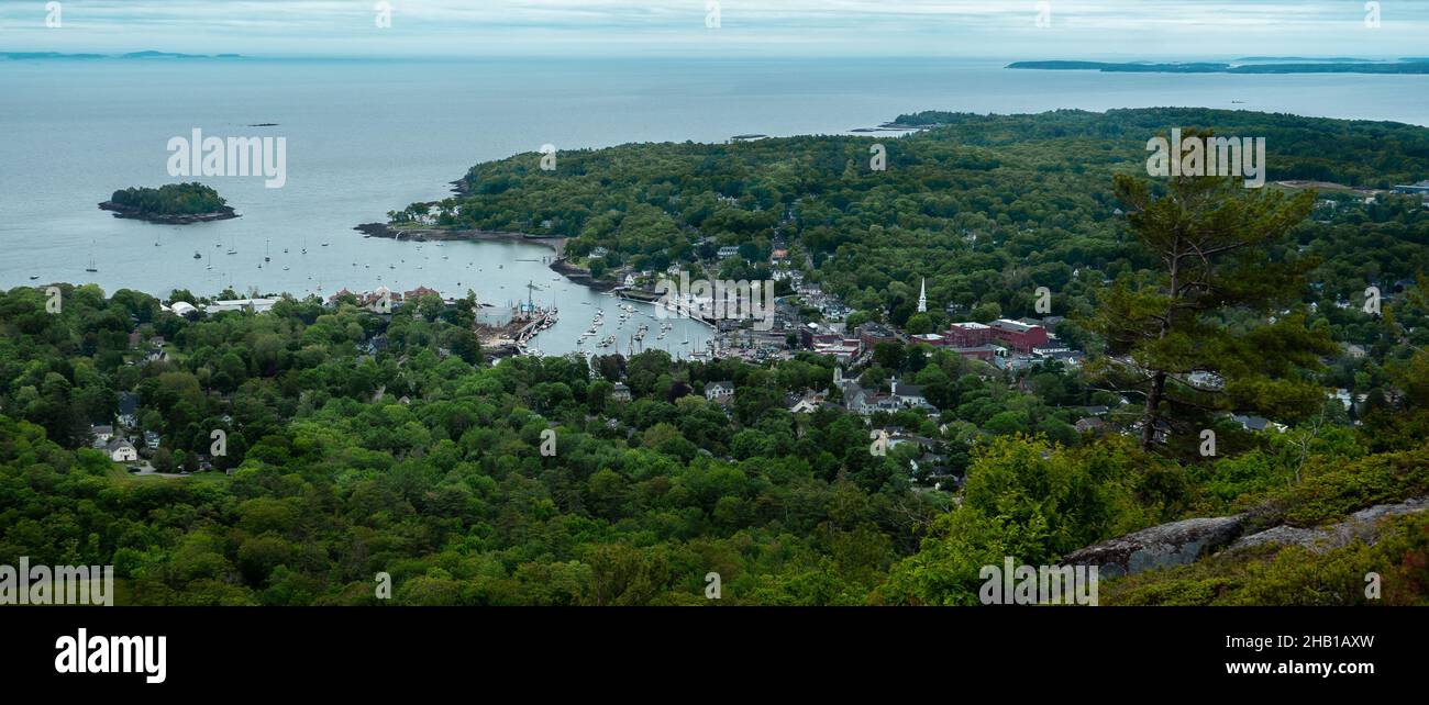 Aerial view of the sea, dense forest and buildings under a blue sky
