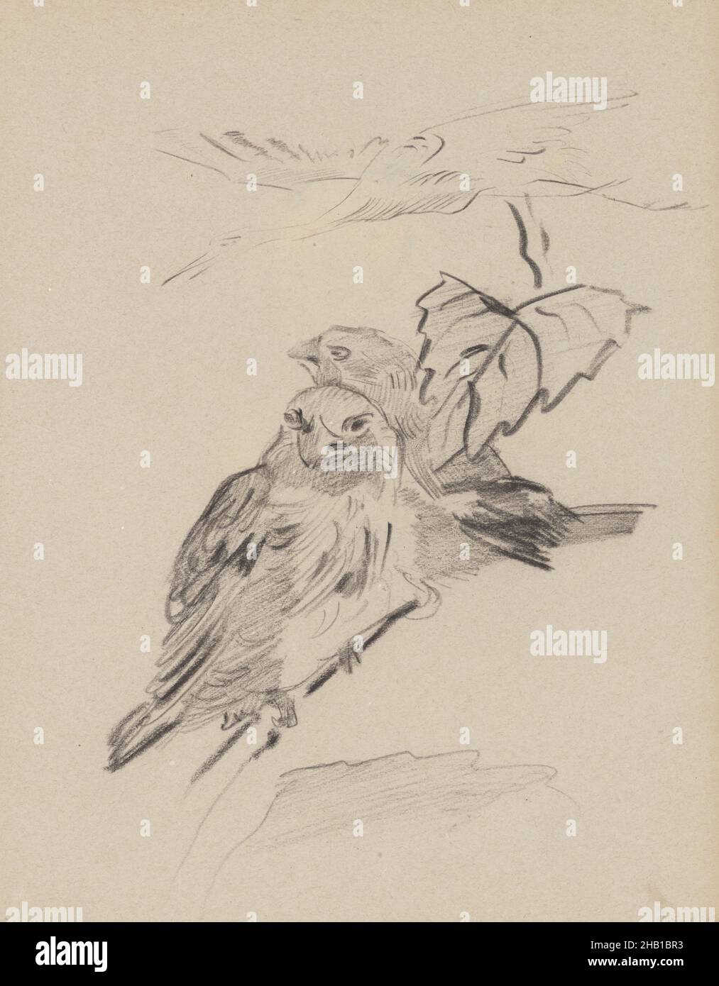 Chinoiserie, three birds, James Ensor, circa 1880-1890, drawing, Belgian Art Stock Photo