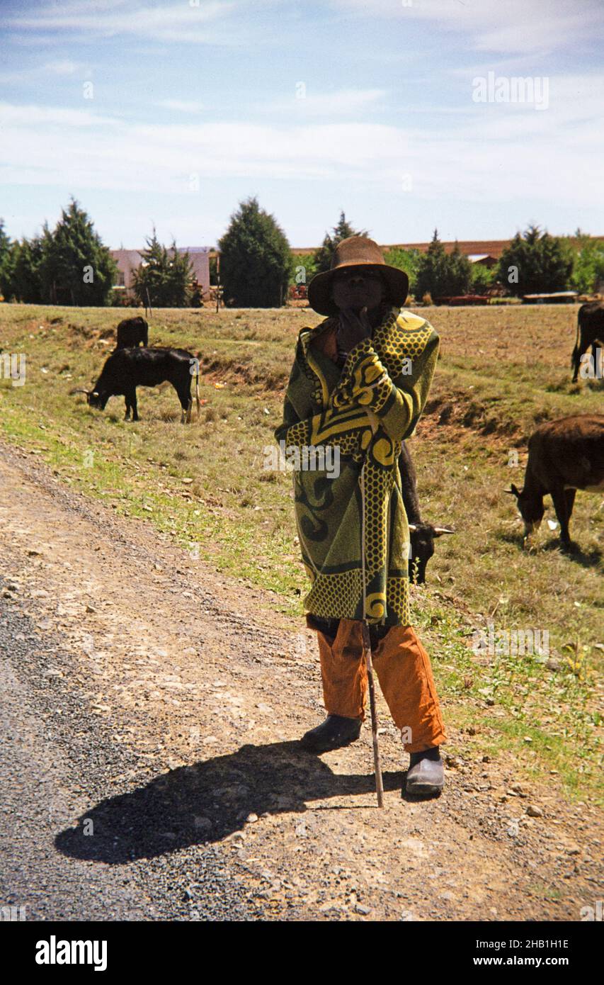 Captioned as 'Basuto herdsman with traditional blanket' standing near ...