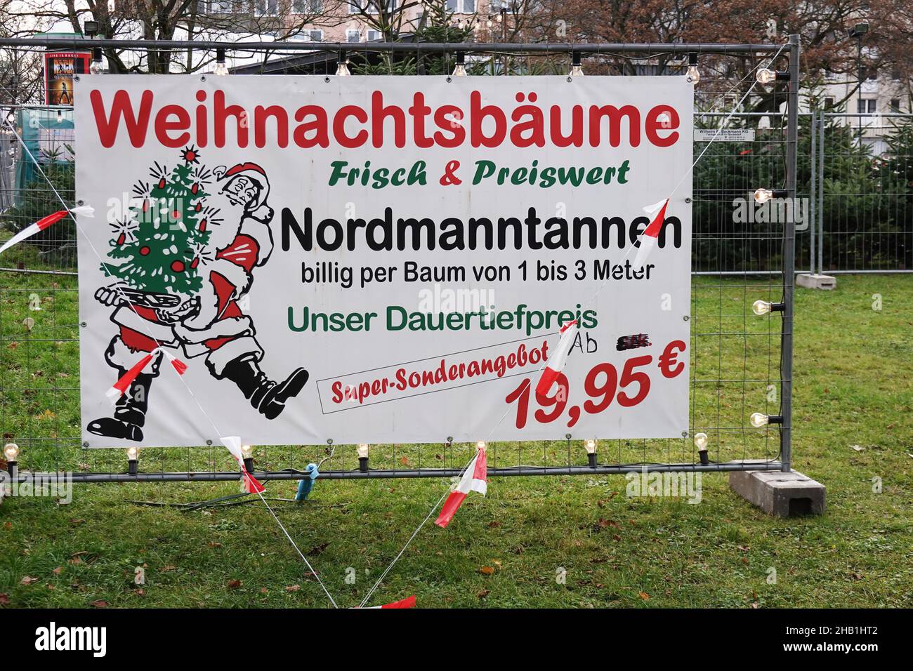 Hannover, Germany - December 8, 2021: . Nordmanntanne or Nordmann fir is typical for German xmas. Stock Photo