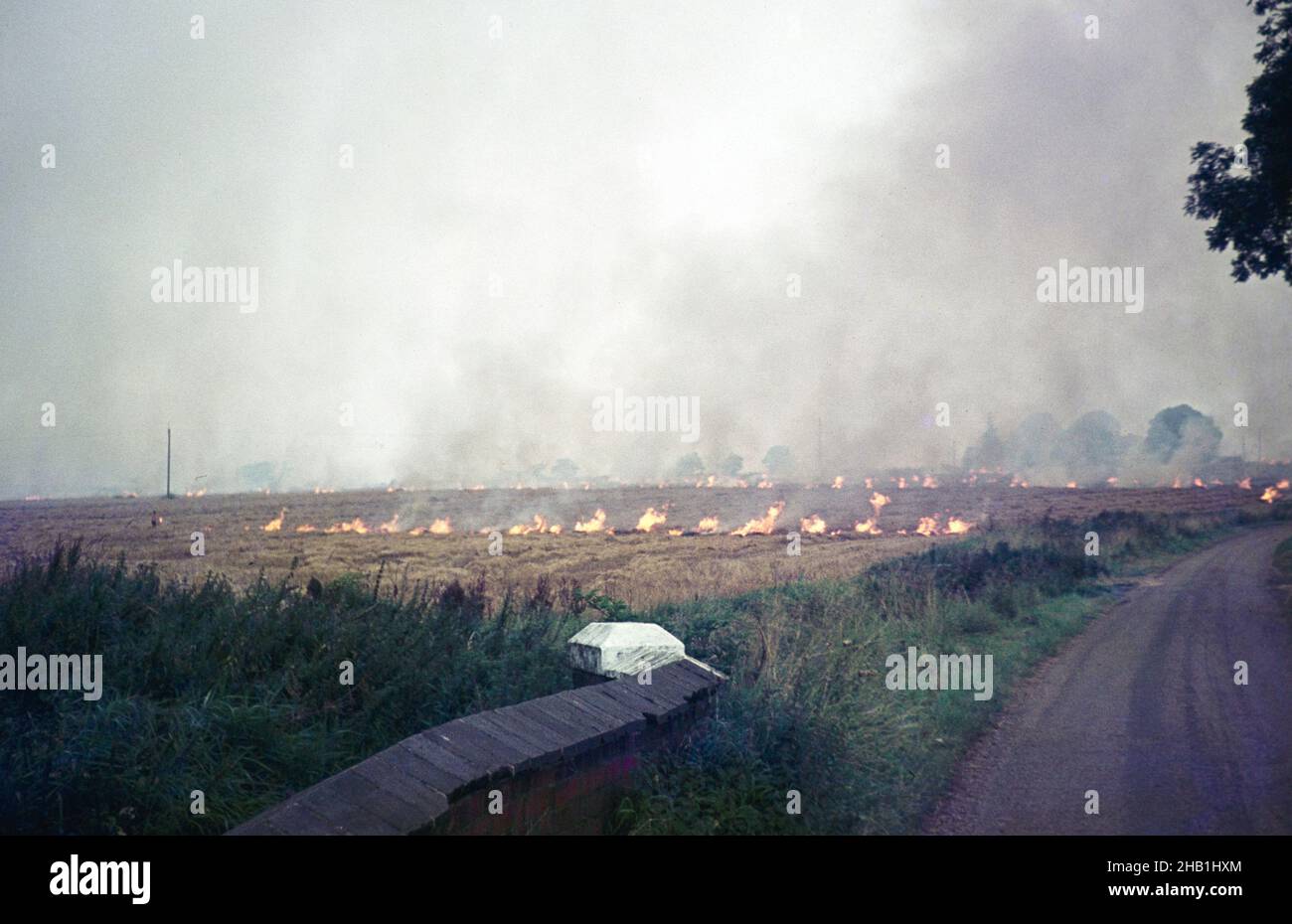 Stubble burning fire in agricultural field rural area, Lincolnshire