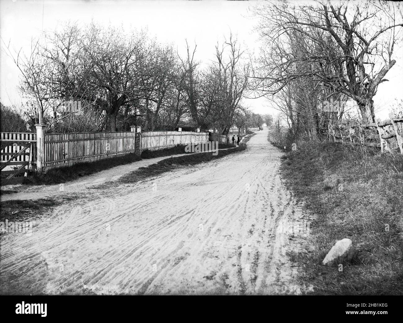 Neck Road at Conover's near Avenue V, Gravesend, Brooklyn, Daniel Berry Austin, American, born 1863, active 1899-1909, Gelatin silver glass dry plate negative, October 1899, archival photograph, dirt road, documentary photography, early photojournalism, historic Brooklyn, historic New York, lane, Neck road, New York City, old Brooklyn, old New York, picket fence, rural, vintage photograph Stock Photo