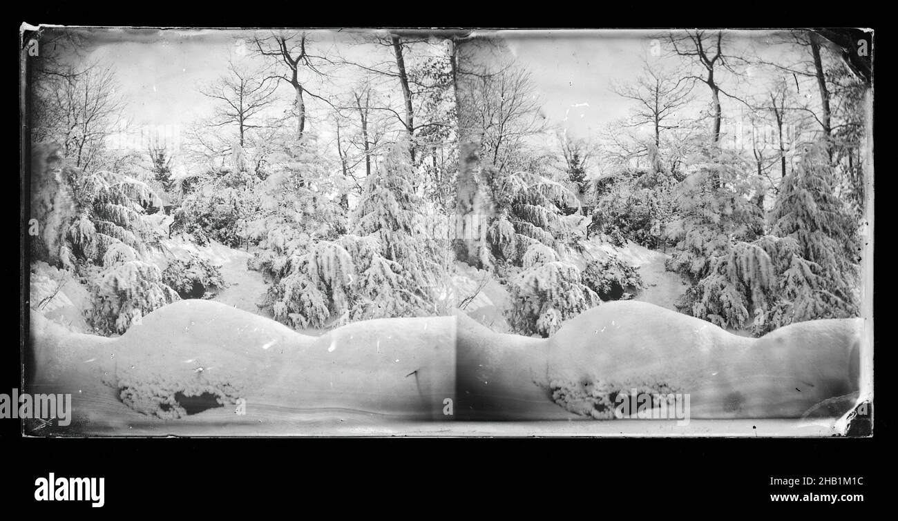 Snow Scene, Prospect Park, Brooklyn, George Bradford Brainerd, American, 1845-1887, Collodion silver glass wet plate negative, ca. 1872-1887, archival photograph, documentary photography, early photojournalism, historic Brooklyn, old Brooklyn, vintage photograph Stock Photo