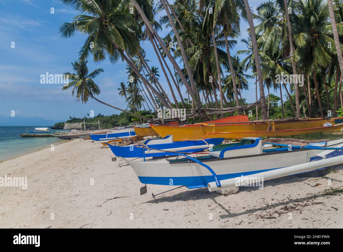 Palm and boats at the Paliton Beach on Siquijor island, Philippines. Stock Photo