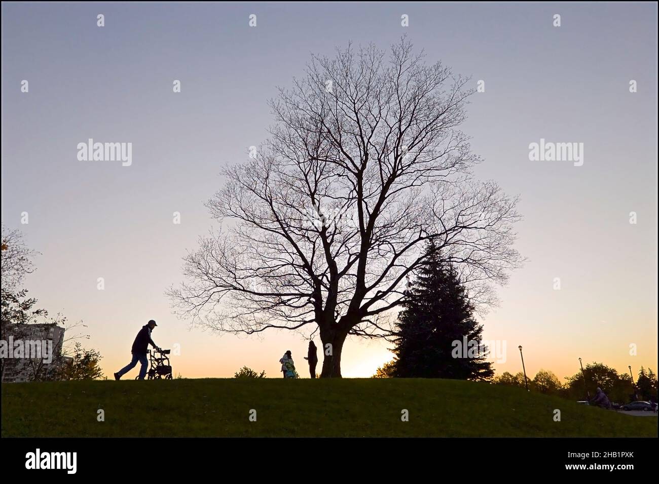 Silhouette of the father pushing the baby stroller in the park at sunset Stock Photo