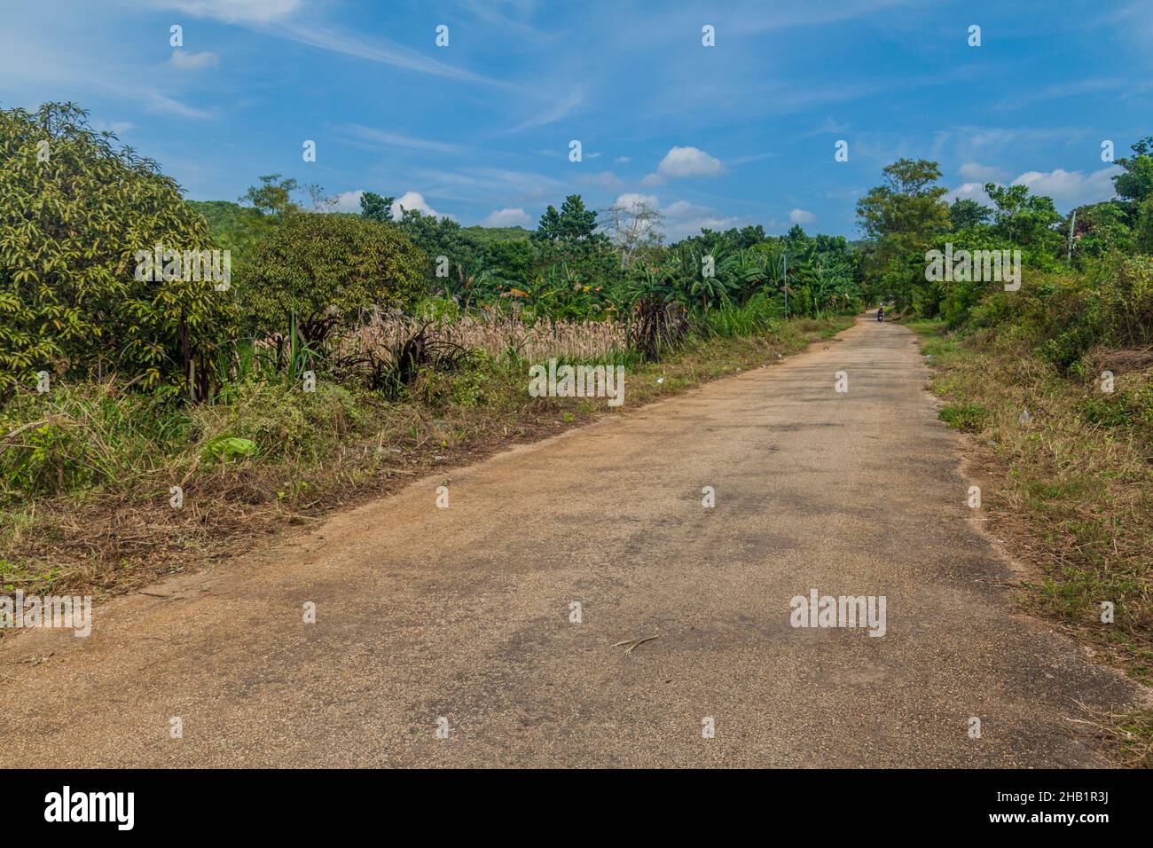 Country road on Siquijor island, Philippines. Stock Photo