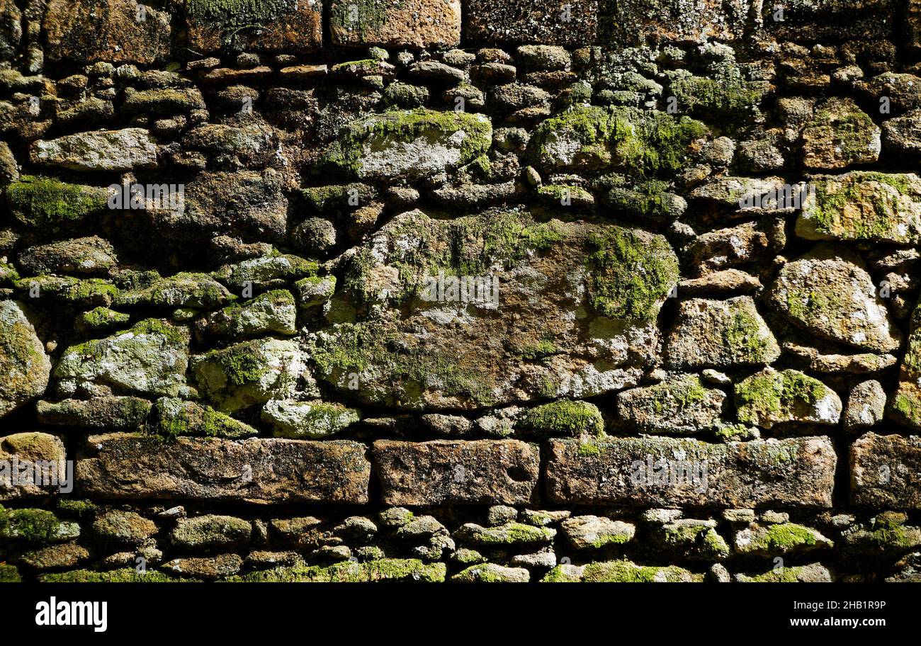 Ancient stone wall with moss background Stock Photo