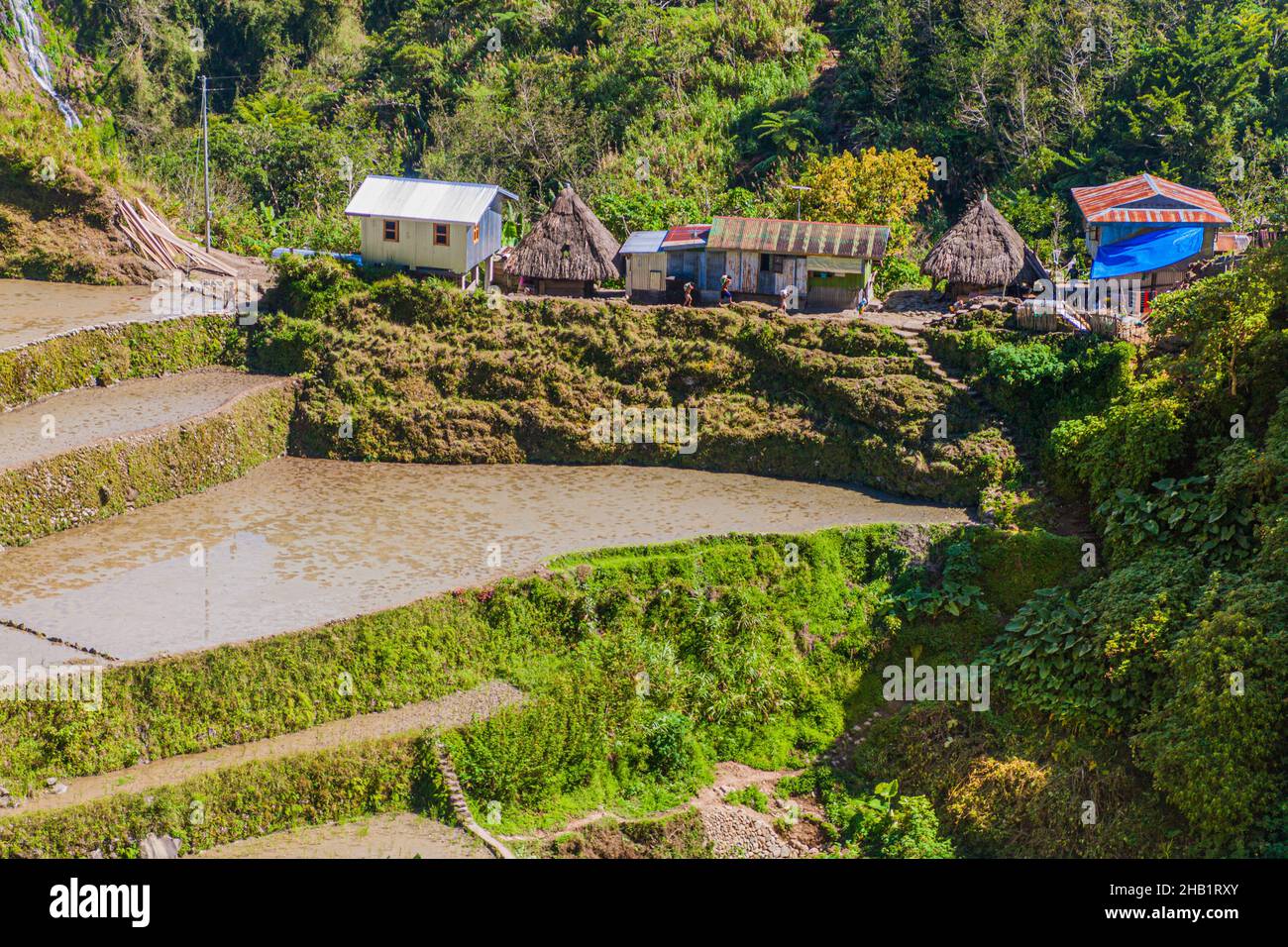 Small village in the rice terraces near Banaue, Luzon island ...