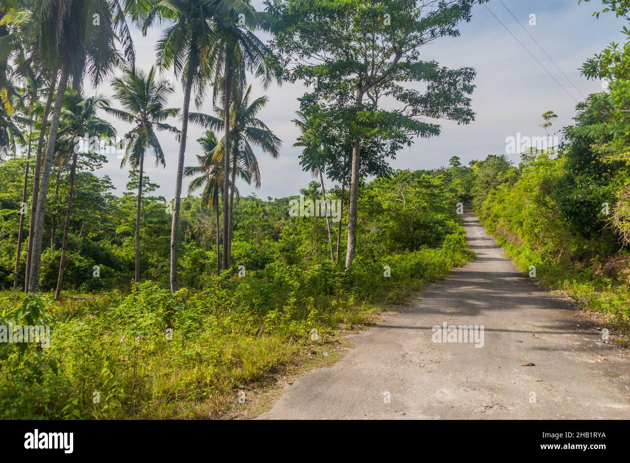 Country road on Siquijor island, Philippines. Stock Photo