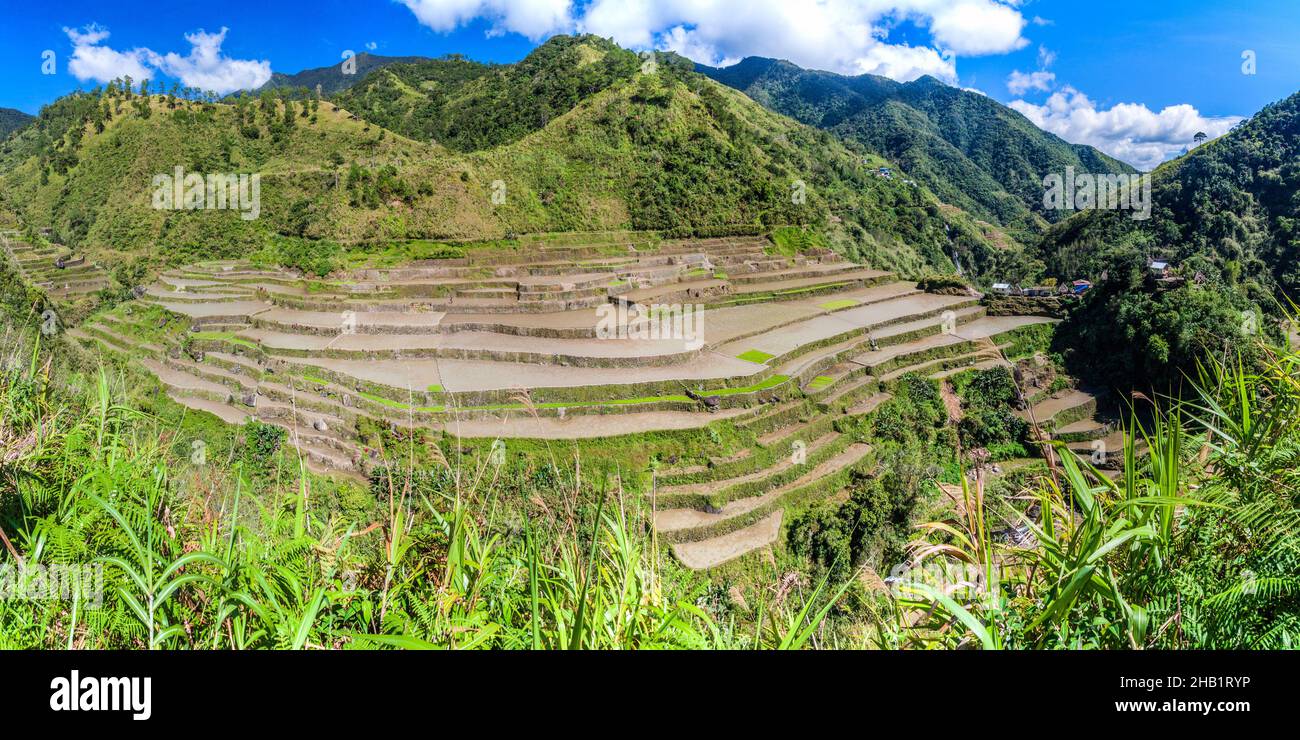 Small village in the rice terraces near Banaue, Luzon island ...