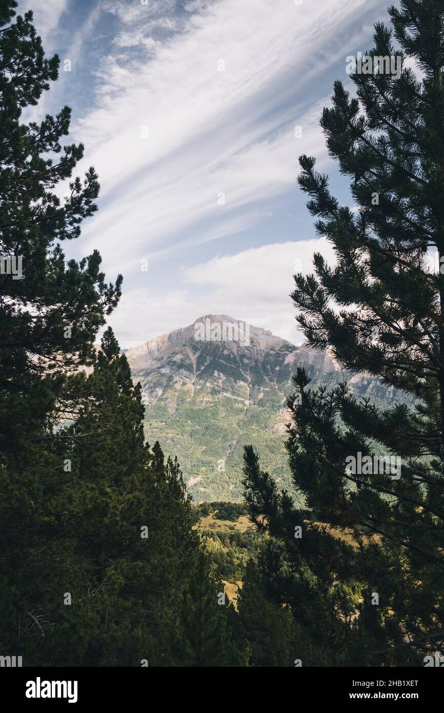 Far away hight mountain framed in between pine trees just before sunset. Stock Photo