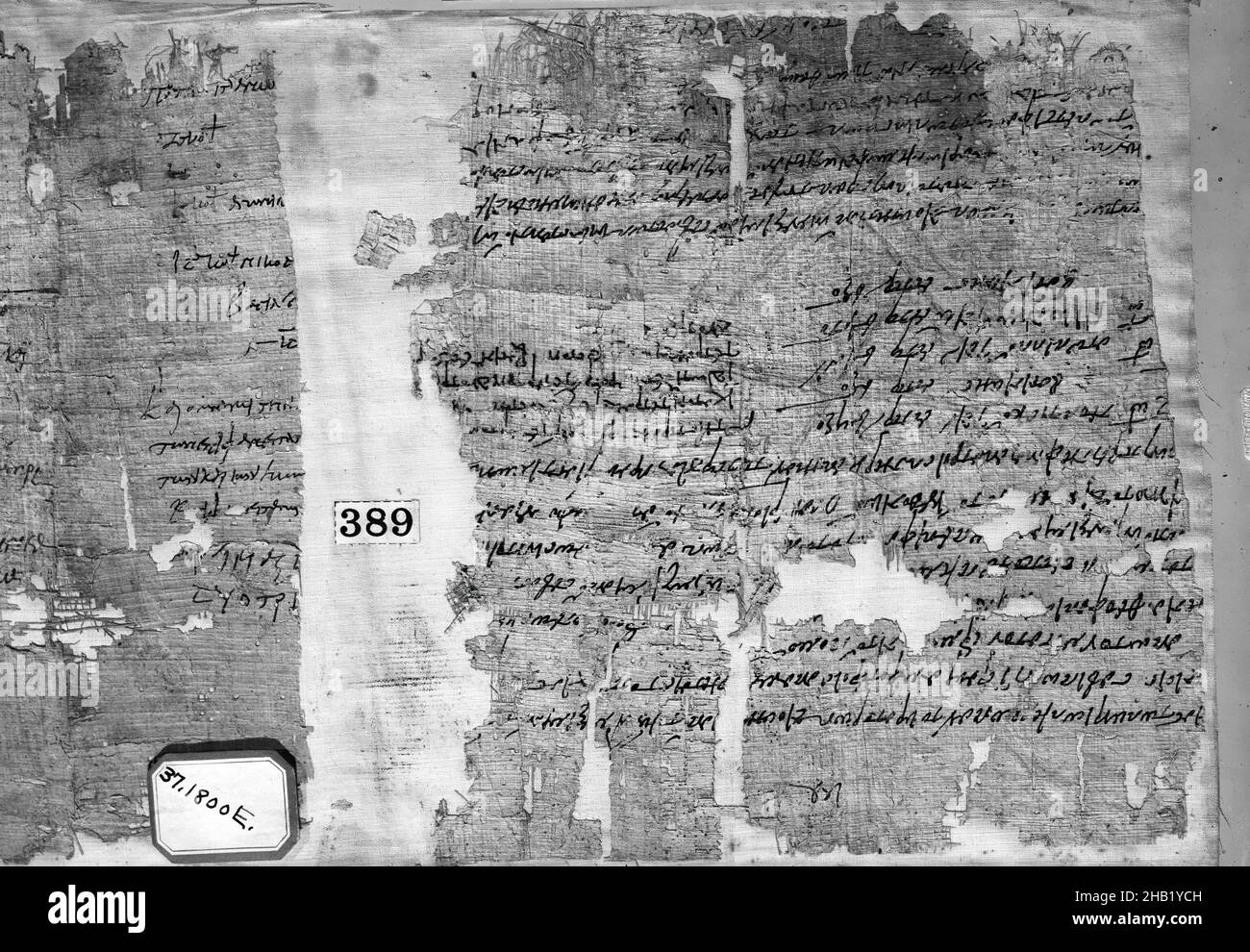Papyrus Fragments Inscribed in Greek, Papyrus, ink, 303 C.E., Roman Period, Glass: 11 5/16 x 27 1/2 in., 28.8 x 69.8 cm, Egyptian, Greek text, Inscribed, Papyrus, Roman Period Stock Photo