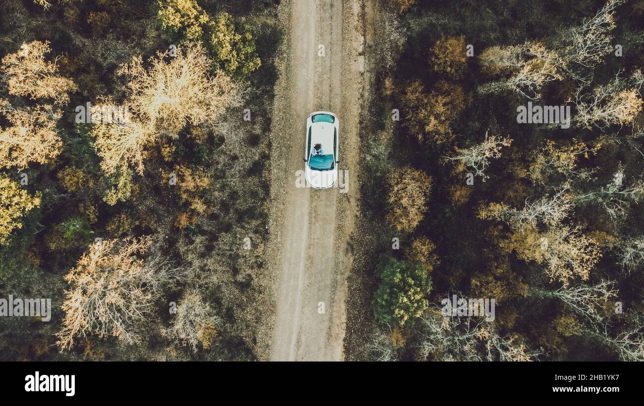 drone view of a car on a road surrounded by trees Stock Photo - Alamy