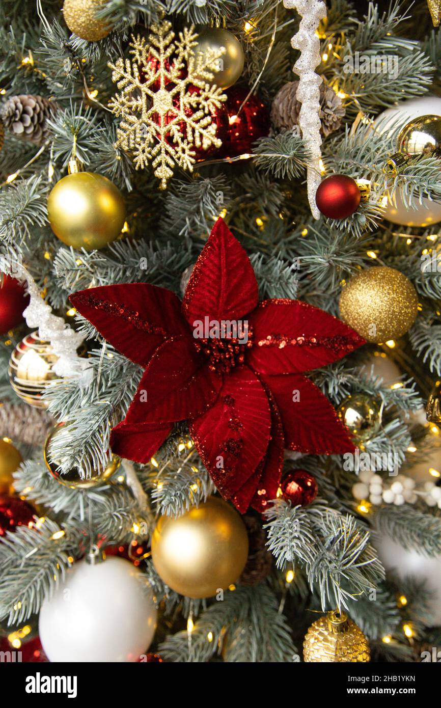 Red flower on christmas tree Stock Photo Alamy