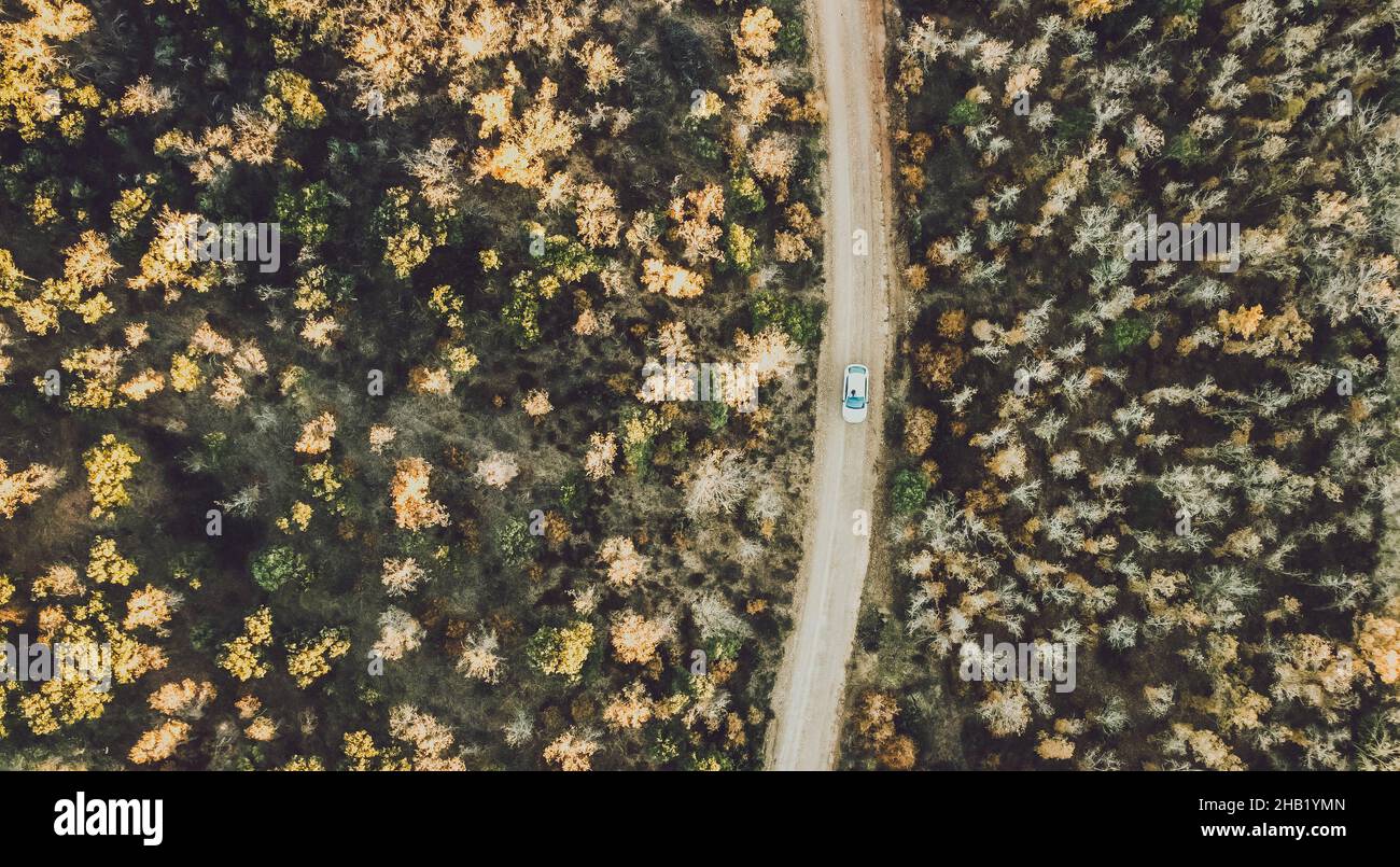 drone view of a car on a road surrounded by trees Stock Photo - Alamy