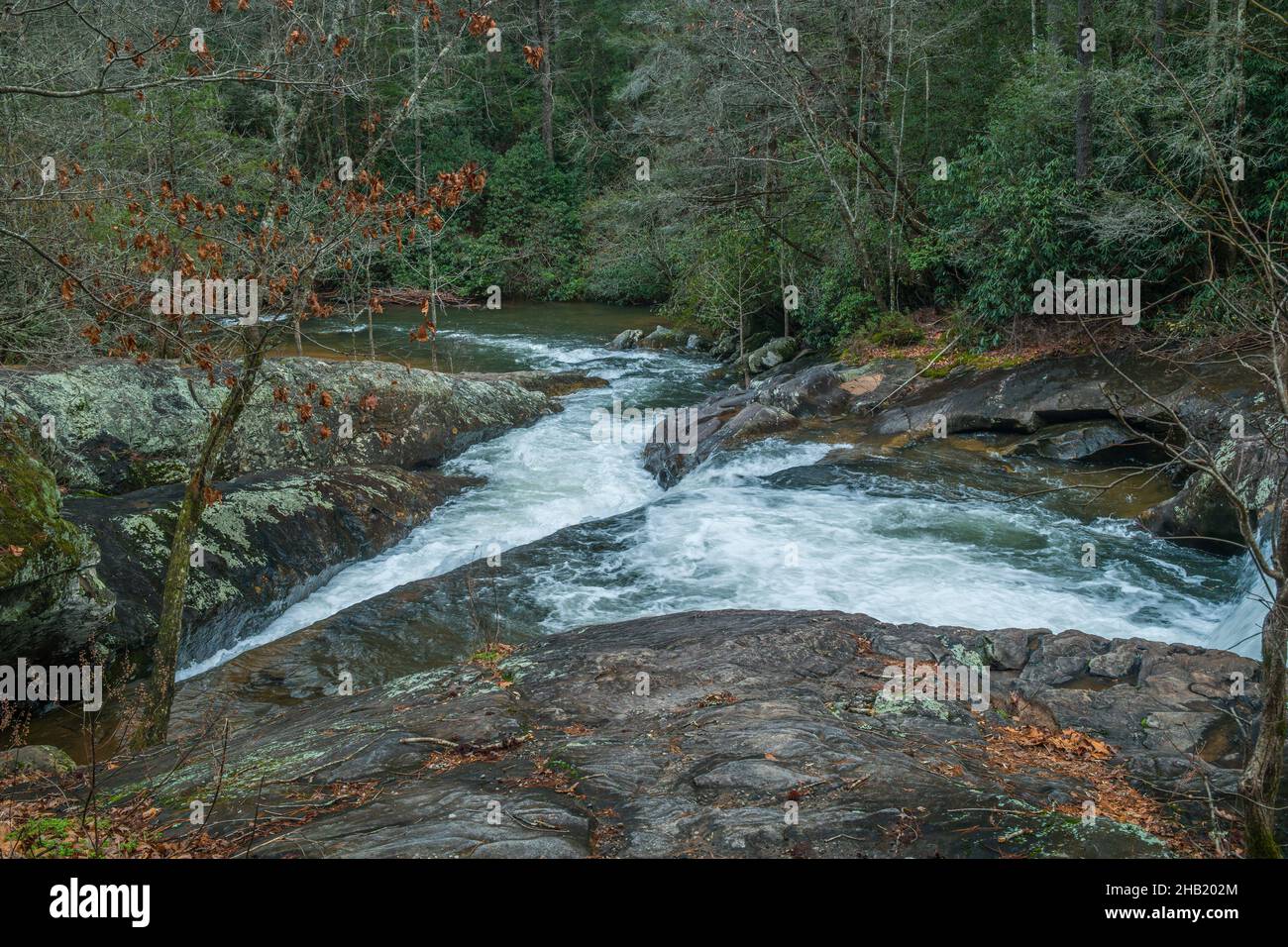 Flowing whitewater from the waterfall cascading downstream through the rocks and boulder in the woodlands at the north Georgia mountains in wintertime Stock Photo