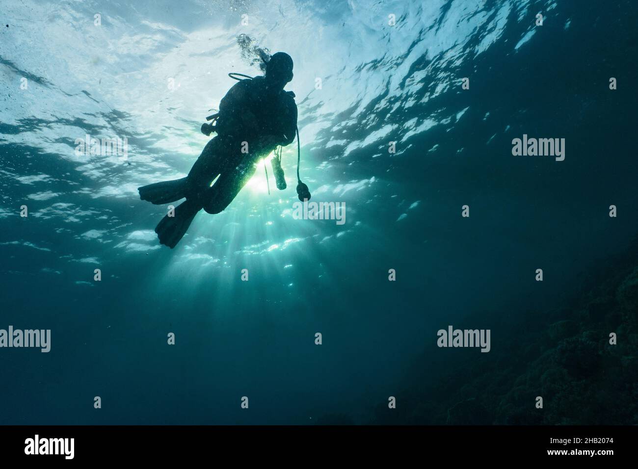 scuba diver ascending into the tropical waters around Komodo Stock