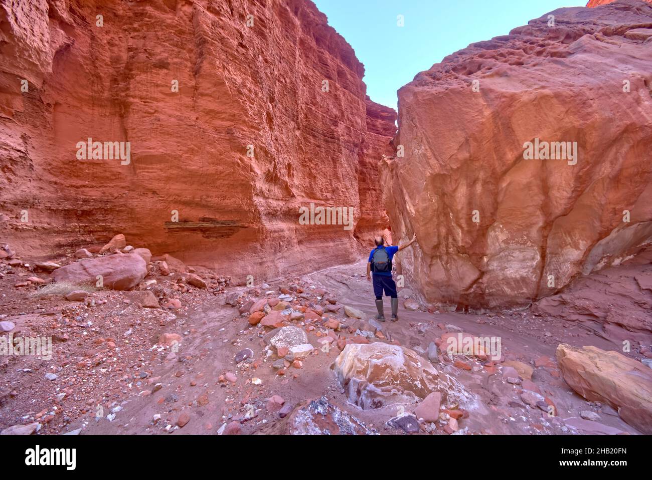 A hiker in a narrow sections of Chocolate Canyon at Vermilion Cliffs National Monument Arizona. The canyon is named for the chocolate color and textur Stock Photo