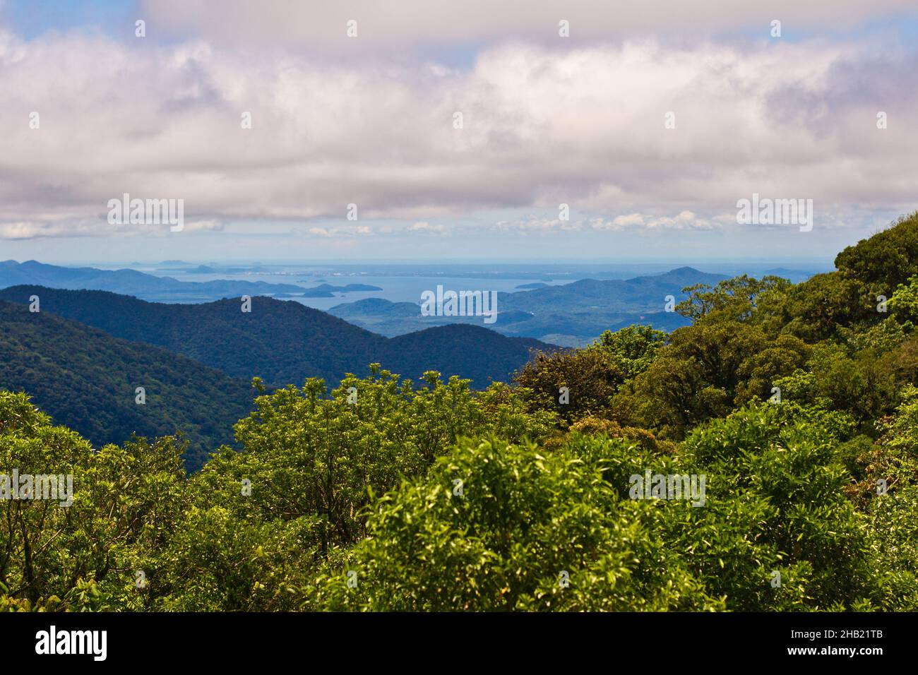 Mountains top trees hi-res stock photography and images - Alamy