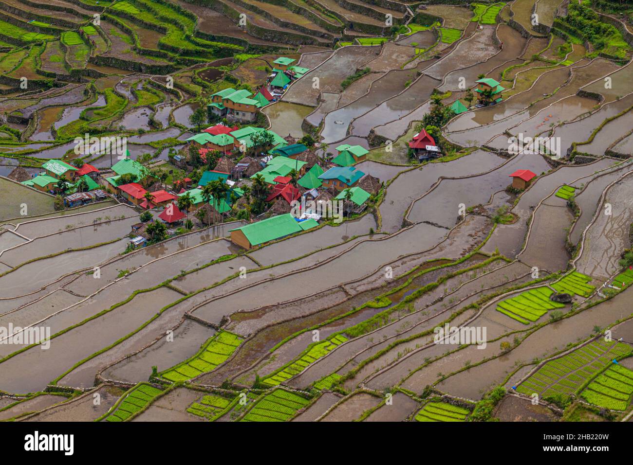 View of Batad Rice Terraces at Luzon island, Philippines Stock Photo ...