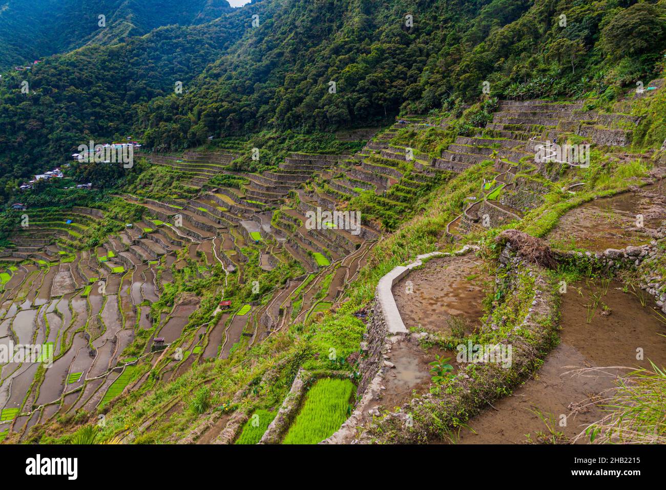 View of Batad Rice Terraces at Luzon island, Philippines Stock Photo ...