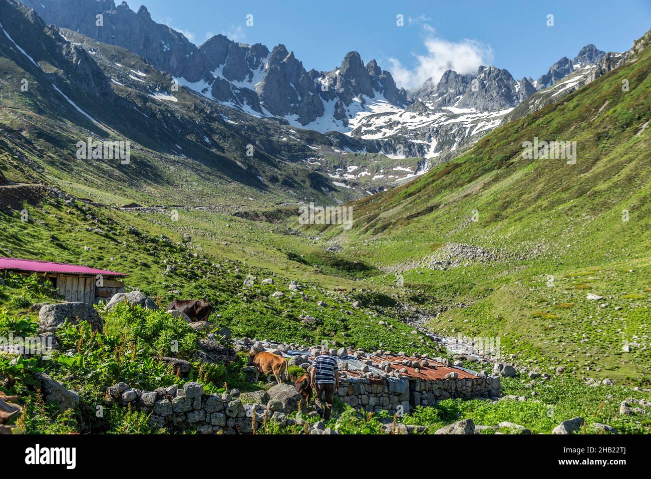 Rize offers a peaceful life with its high parts, mountains, valleys ...