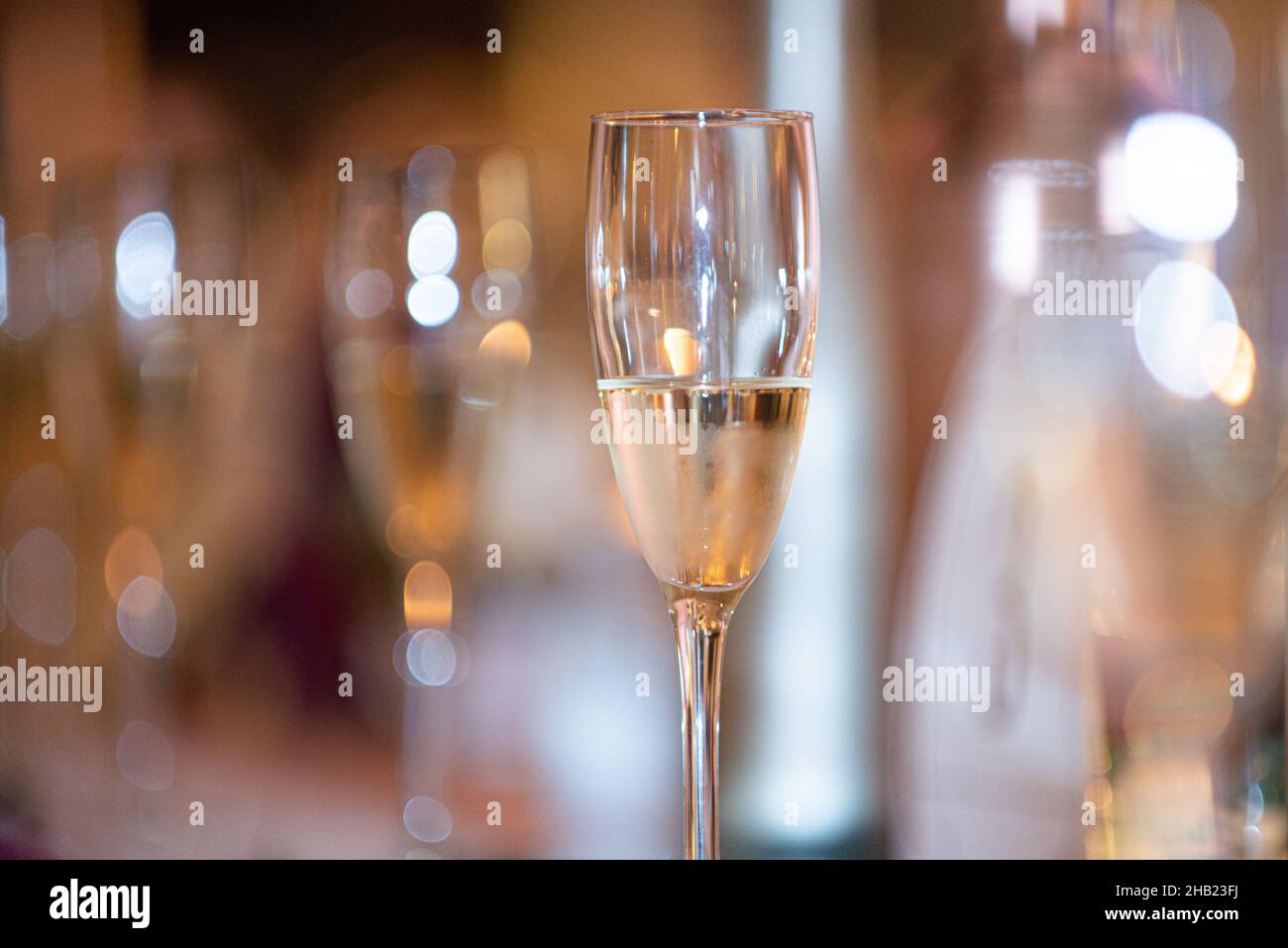 Champagne Filled Glasses Lined Up And Ready To Serve At Wedding 