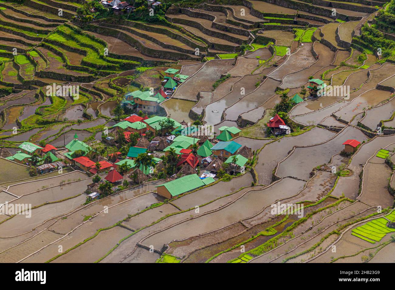 Aerial view of Batad rice terraces, Luzon island, Philippines Stock ...